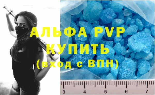 apvp Алзамай