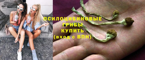 apvp Алзамай