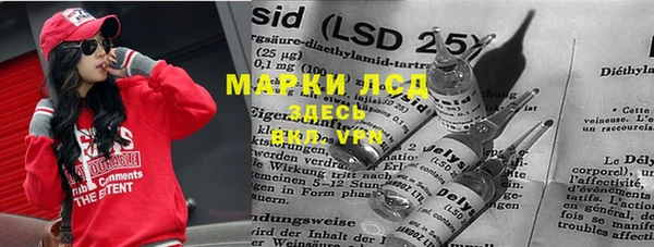 apvp Алзамай